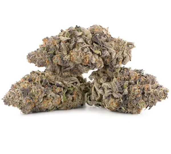 Mimosa Strain